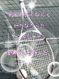 
�U��ꂽ���Ȃ���

�s���Ȃ�����

�e�j�X�R�[�g�B


����������c�����B


