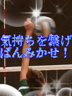 �C�������q��
�΂�݂���!