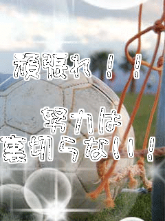�撣��!!

�w�͂�
���؂�Ȃ�!!