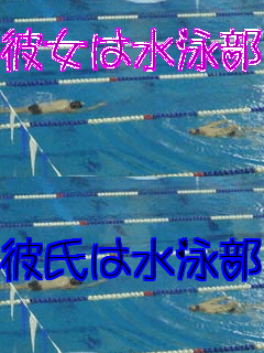 �ޏ��͐��j�� �ގ��͐��j��