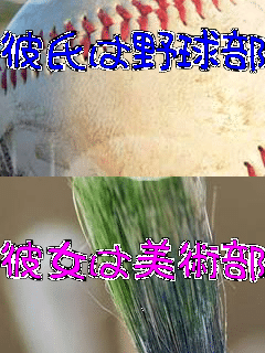 �ގ��͖싅�� �ޏ��͔��p��