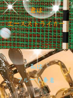 N

G[XXgCJ[ 

t[gt
