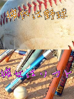 �ގ��͖싅 �ޏ��̓\�t�g