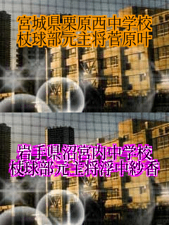�{�錧�I�������w�Z
�񋅕����叫������
 ��茧���{�����w�Z
�񋅕����叫�����э�
