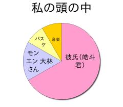 :40% :10% :5% :5% 