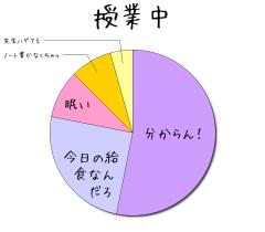 :30% :80% :14% :26% :170% 