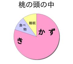 :80% :10% :10% 
