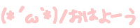 (*�L��`*)�m ���͂�[��
