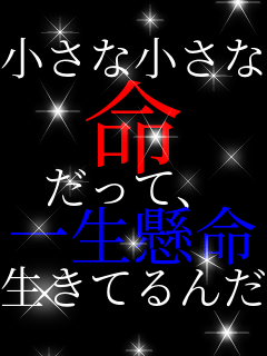 ȏ  āA ꐶ Ă񂾁B  