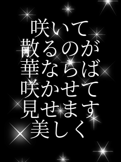 �炢�� �U��̂� �؂Ȃ�� �炩���� �����܂� ������ 