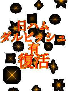 ���n�� �_���r�b�V�� �L ����   