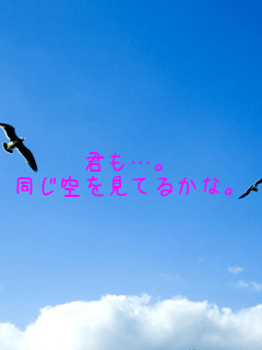 �N���c�B
����������Ă邩�ȁB