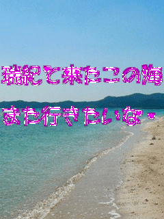 ���I�Ɨ������̊C��

�܂��s�������ȥ��

