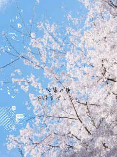 



��y�̎�
��D���ł����B