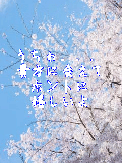 ������...
�M���ɉ��
�z���g��
��������